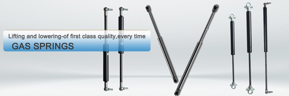 China Lift Struts