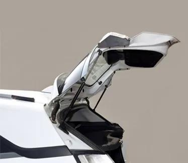 Gas Springs For Indica Dickey