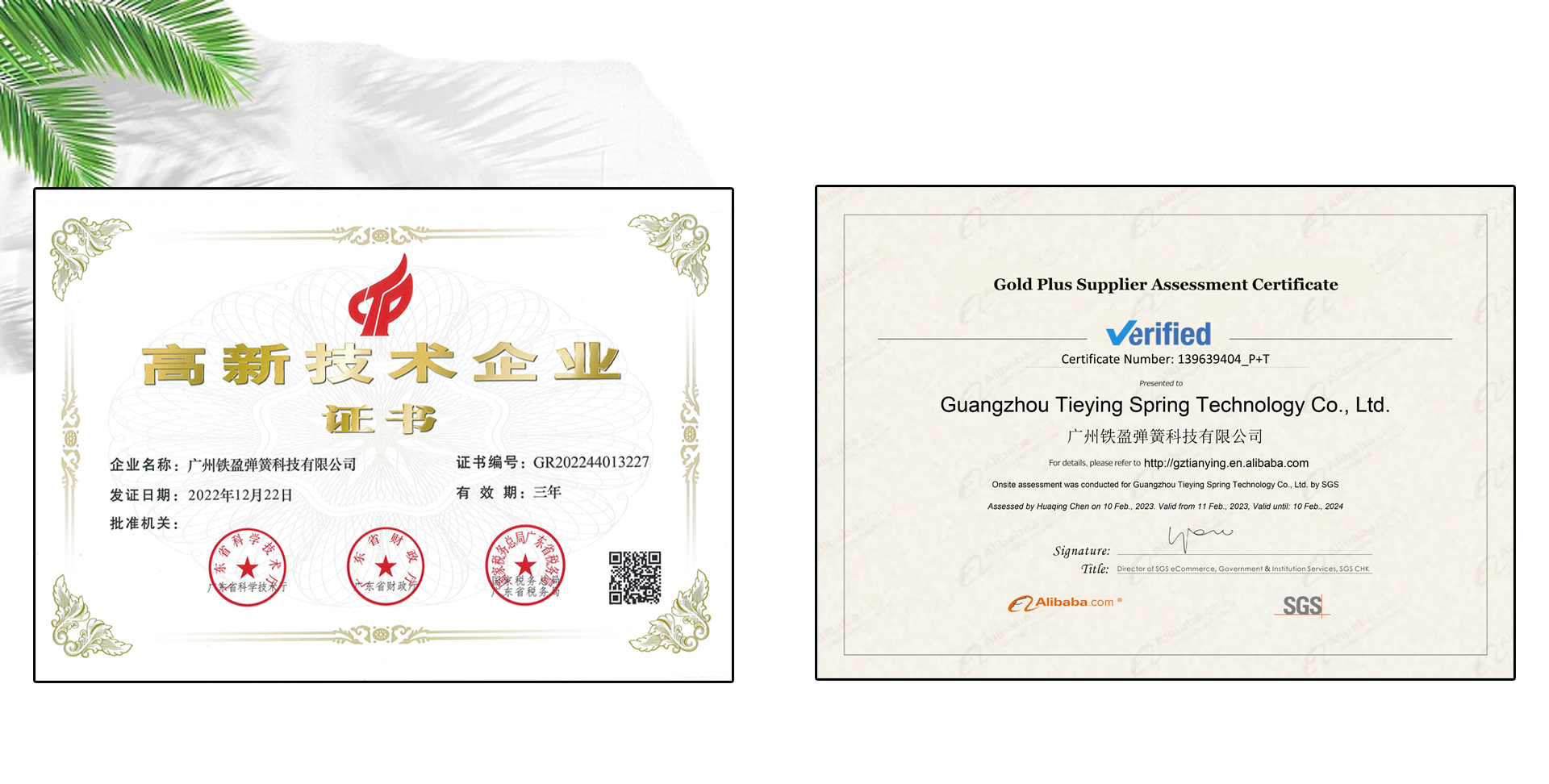 gazli buloq sertifikati 1